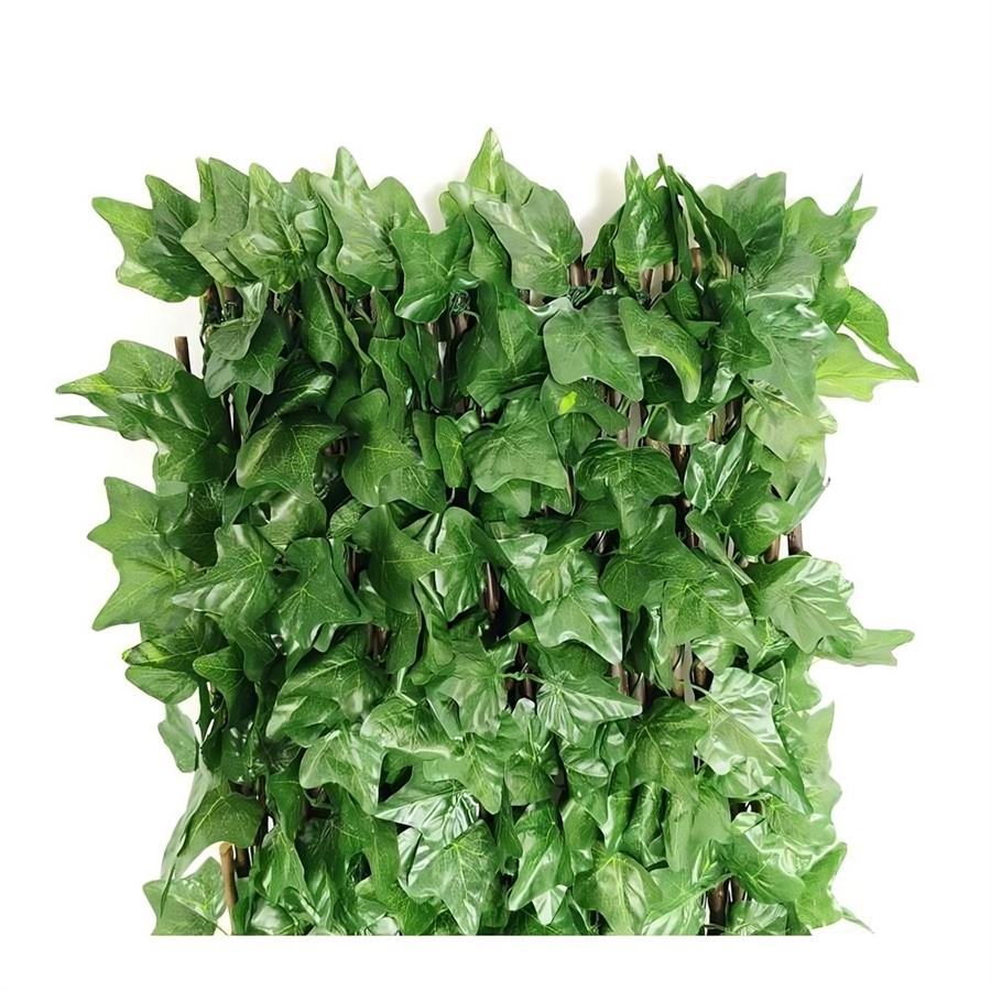 DAZZLEEX Traliccio A Ventaglio In Metallo Nero Per Piante Rampicanti – 30x40 Cm – Per Gelsomino, Edera, Pothos