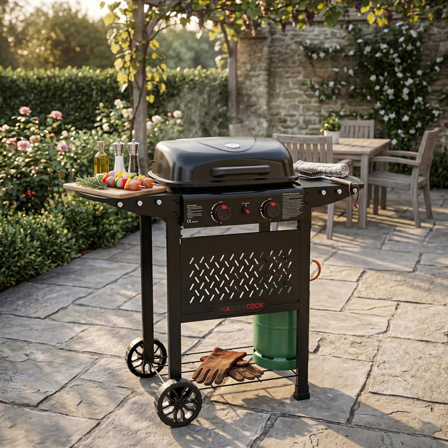 Barbecue a gas portatile 2 bruciatori con trolley e ruote - Buddy
