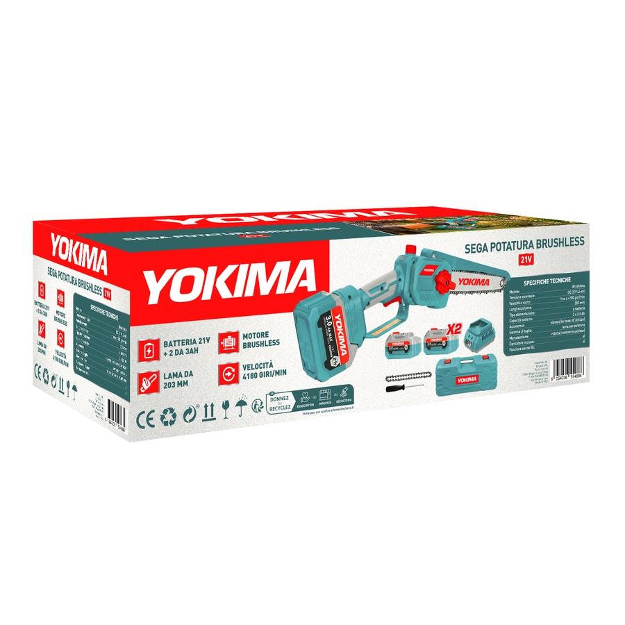 Sega da potatura a batteria 21V brushless con 2 batterie 3Ah