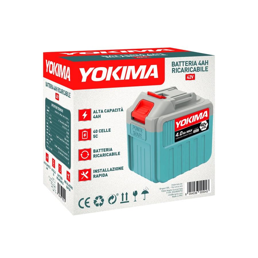 Batteria ricaricabile 42V 4Ah 20 celle 5C