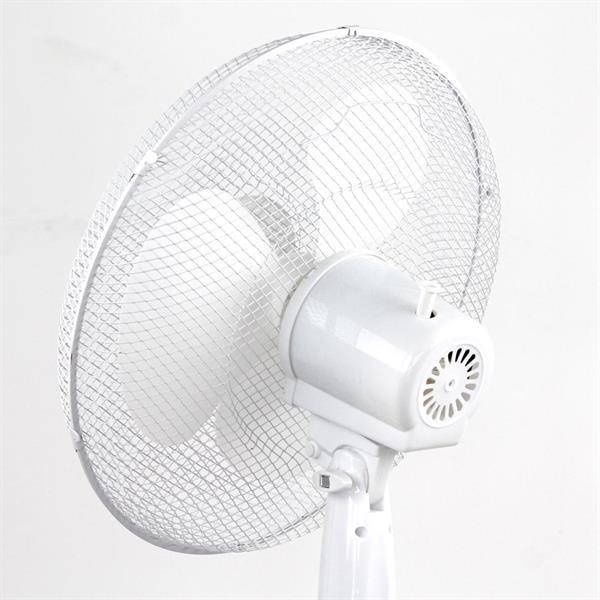 Ventilatore randy